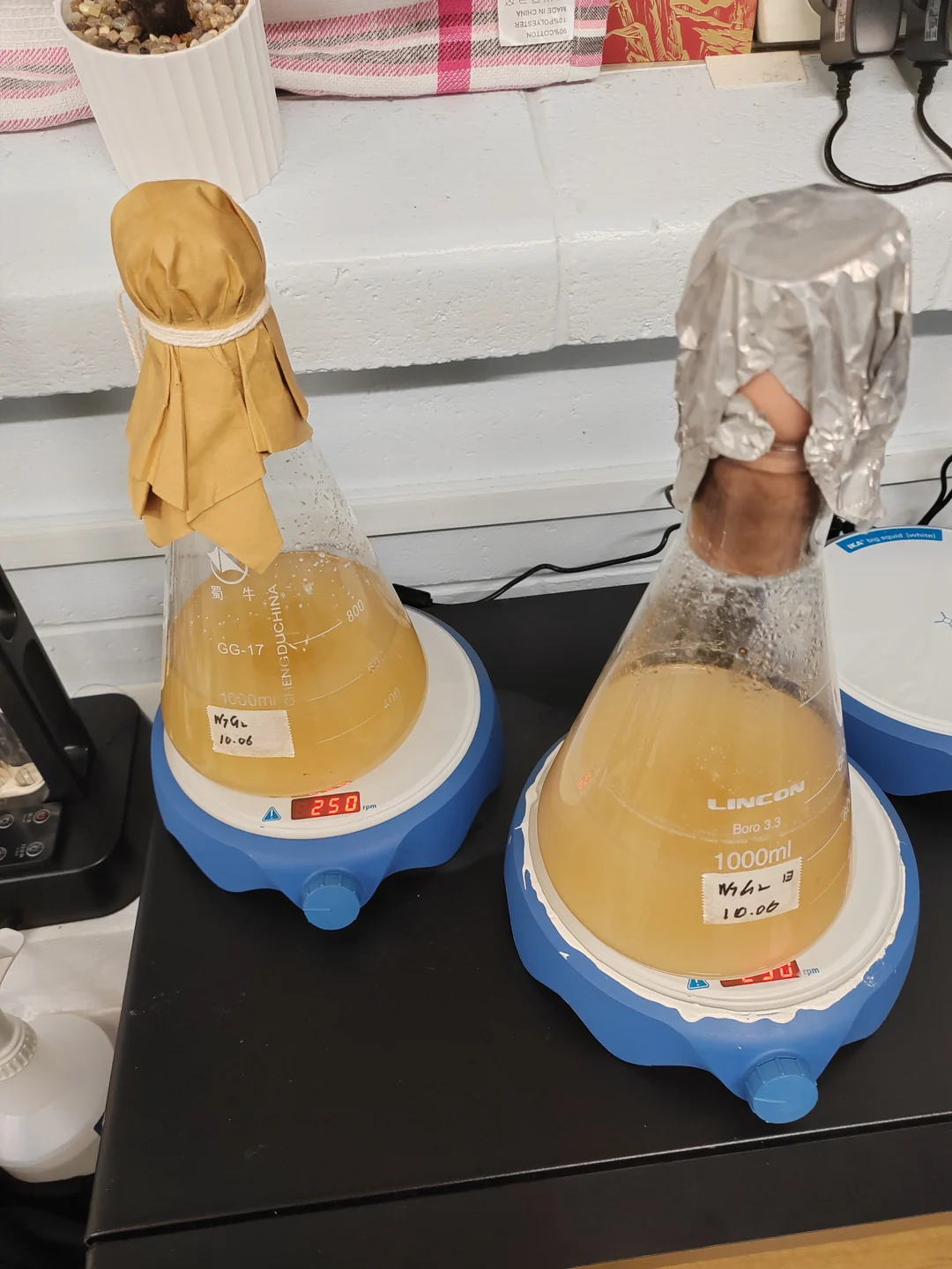 Culture flasks on laboratory stirrers.